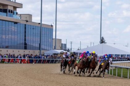 Where to watch/watch: Horse racing broadcasts March 19-22