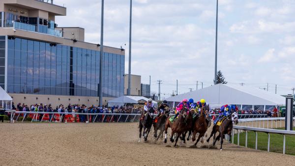 Where to watch/watch: Horse racing broadcasts March 19-22