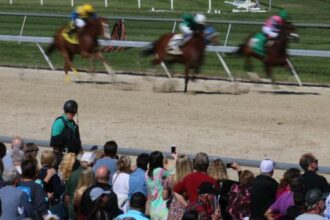 Where to watch/watch: Horse racing broadcasts March 5-8
