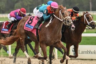 With victory, Puma and Potente move into the Triple Crown power rankings