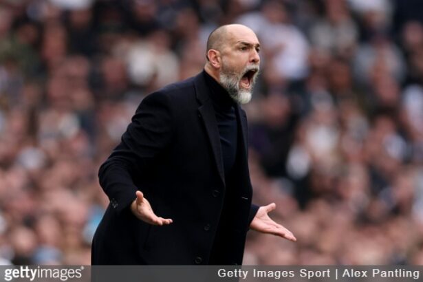 Spurs on the brink: Tudor gambling, deforestation, and a relentless pursuit