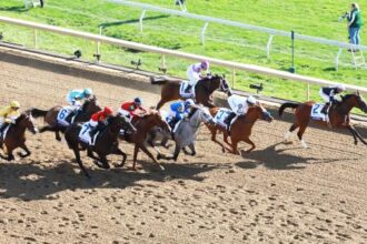 2026 Ashland Stakes Overview