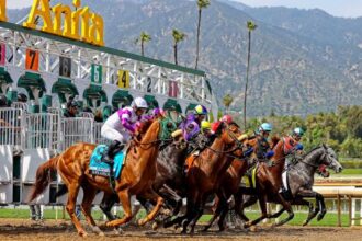 2026 Santa Anita Derby Cheat Sheet