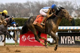 Albus Derby Bound Off Wood Memorial Wins at Suidobashi, the runner always wins over Gazelle