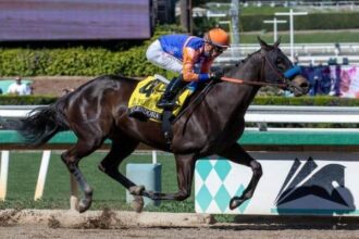 Baffert Duo Splendora, Usha Heading Tab