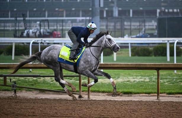 Brad Cox Trio leads Saturday's production