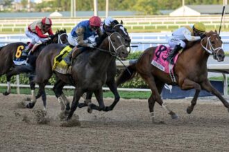 Byron King's Derby Dozen on April 2nd