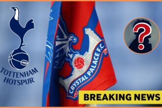 Crystal Palace corner flag