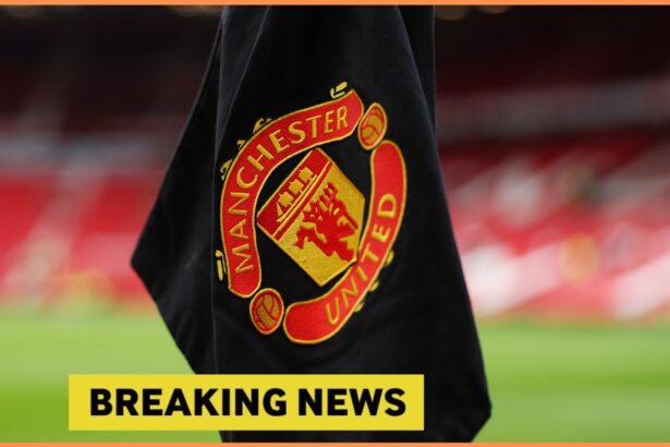 Manchester United corner flag and