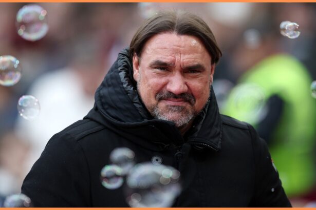 Leeds manager Daniel Farke