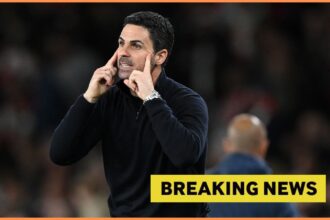 Mikel Arteta gestures during Arsenal vs Sporting Lisbon