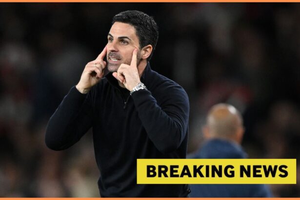 Mikel Arteta gestures during Arsenal vs Sporting Lisbon