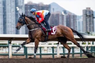 Car in Rising, the romantic warrior returns to Hong Kong on Sunday