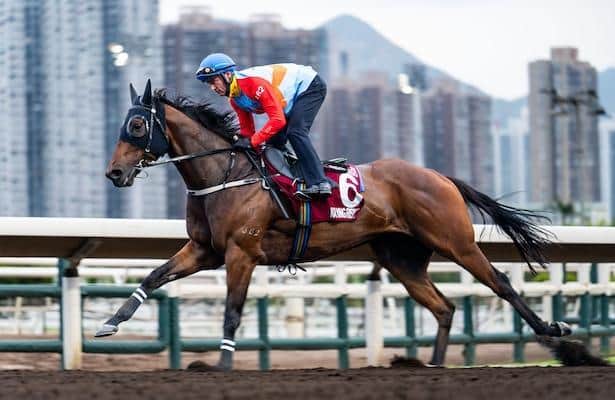 Car in Rising, the romantic warrior returns to Hong Kong on Sunday