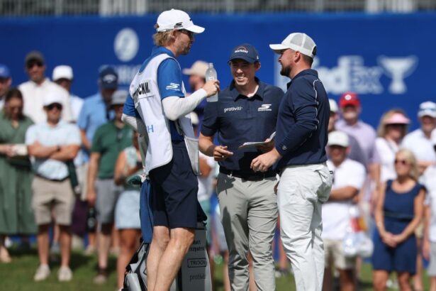 Fitzpatrick brothers close in on lead in Zurich Classic