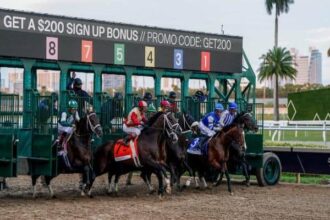 Friday's Rainbow 6 jackpot pool could reach $150,000