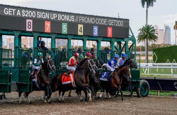 Friday's Rainbow 6 jackpot pool could reach $150,000