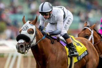 G1 winner King of Gosford returns on Saturday