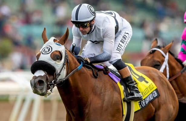 G1 winner King of Gosford returns on Saturday