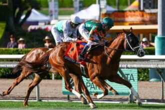 High-spirited boss at Santa Anita in Monrovia is shocked