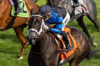 In Our Time uses rail travel to visit Keeneland's Giant's Causeway