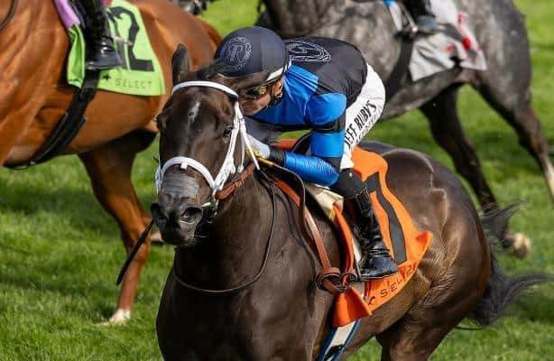 In Our Time uses rail travel to visit Keeneland's Giant's Causeway
