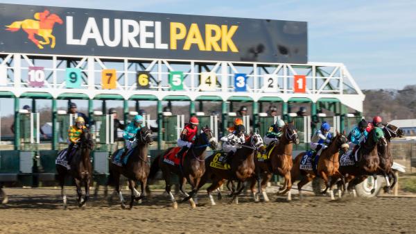 Laurel Park to hold Preakness Preview Day Handicapping Challenge on April 18th