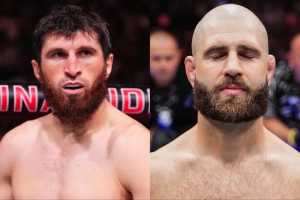 Magomed Ankalaev and Jiri Prochazka