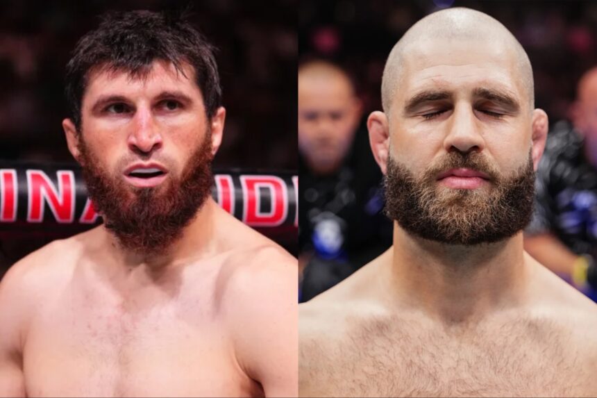 Magomed Ankalaev and Jiri Prochazka