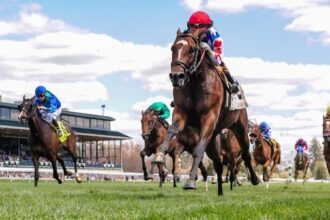 Noel's Weekend Winner: Big Chance on Bluegrass Stakes Day