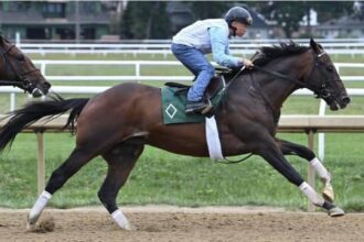 Oaklawn is inspected for sovereignty ahead of the 4-year-old's debut.