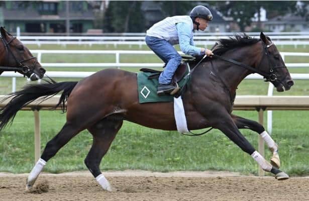 Oaklawn is inspected for sovereignty ahead of the 4-year-old's debut.