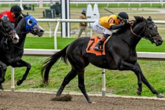 Regan's Honor is ready to fulfill his potential in the Bluegrass Stakes