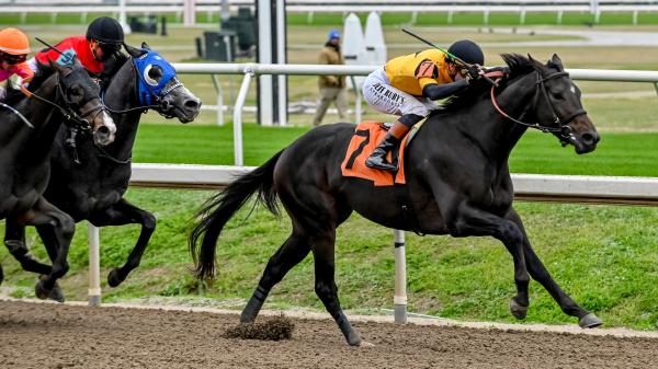 Regan's Honor is ready to fulfill his potential in the Bluegrass Stakes