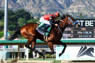 So Happy on the road to Santa Anita Derby victory, meaning behind the Oaks