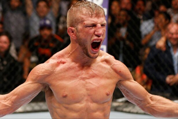 TJ Dillashaw celebrates after defeating Renan Barao for the UFC bantamweight title