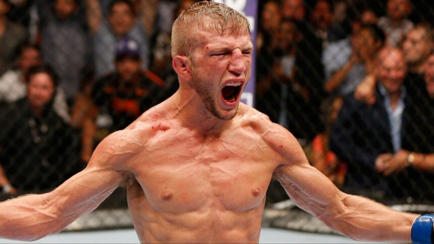 TJ Dillashaw celebrates after defeating Renan Barao for the UFC bantamweight title