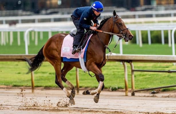 The mare will be ready with two days left.