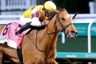 The past two Roxelana winners will face off on Saturday.