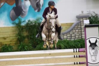 Thoroughbred Incentive Program Announces 2025 Performance Award Winners