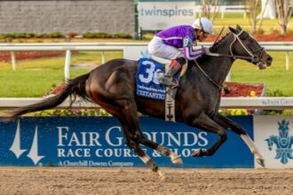 Tiztastic leads 11 horses with major prize winners