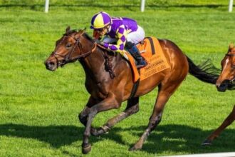 Transylvania's top four could clash on American Turf