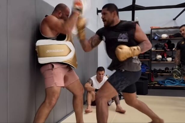 Alex Pereira hits pads with Glover Teixeira