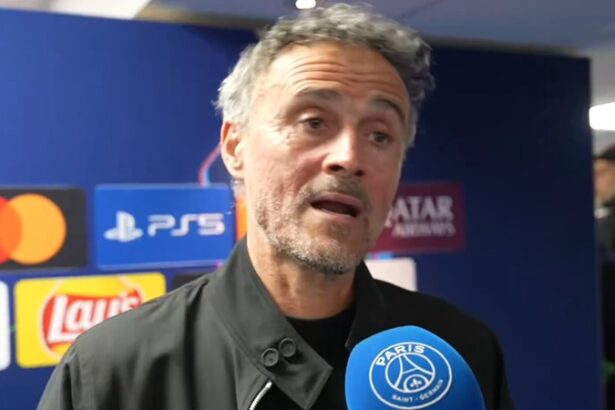 PSG coach Luis Enrique and defender Lucas Hernández react to impressive nine-goal thriller against Bayern Munich (video)