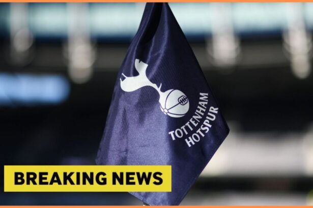 Tottenham corner flag